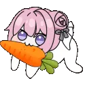 dorocarrot