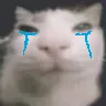car_sad