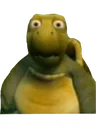 turtlehuh