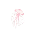 d66a3e7612b8fd9451da50d19b91bd0a