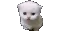 kitty_mitosis