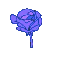 FlowerPurple FlowerPurple