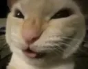 nyehehehe nyehehehe