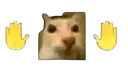 hol_up