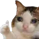 sadcat