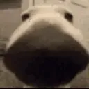 sniffa