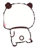 pandawalk