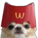 McDog