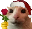 CatRose