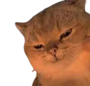 Cat_evil