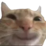 catSmile