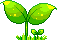 SproutAni Discord emoji