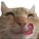 catyummy