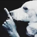 MA_Shhhhh