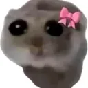 croquette