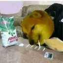 drugs_45