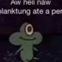plankton_perc