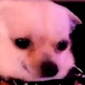 tito