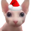 SG_Christmas Discord emoji