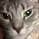 amberstare