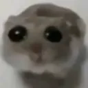 ithoughtdiswasaratSOB