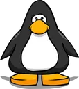 Black_on_a_Player_Card