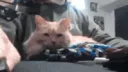 loafATTACK loafATTACK