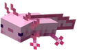 :axolotl: