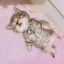 doid