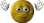 shit shit