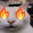 my_burning_reaction