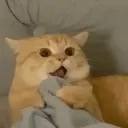 OHHMYYGOODD
