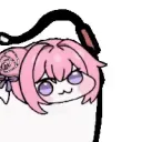 dorowhip