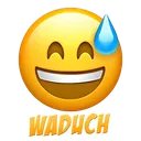 Emoji__Waduch