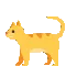 catdance