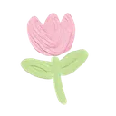 013Pink_Tulip