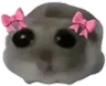 zJustAGirl