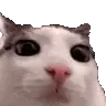 plink plink