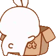 ABunBoofHide