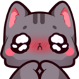 cat_plead_p2u Discord emoji