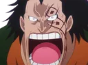 dragonwtf