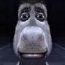 DONKEH DONKEH