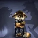 nopoorfurryboy