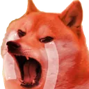 spicywater