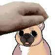 DogPats
