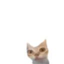 er er