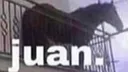 juan juan