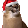 kuppelparty