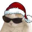 elynelSwagC
