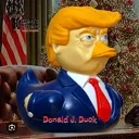 donaldduck donaldduck